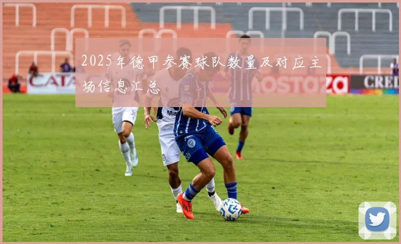 2025年德甲参赛球队数量及对应主场信息汇总