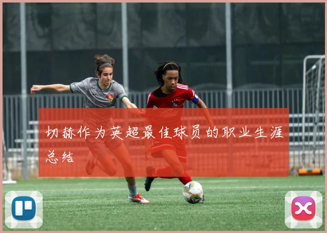切赫作为英超最佳球员的职业生涯总结