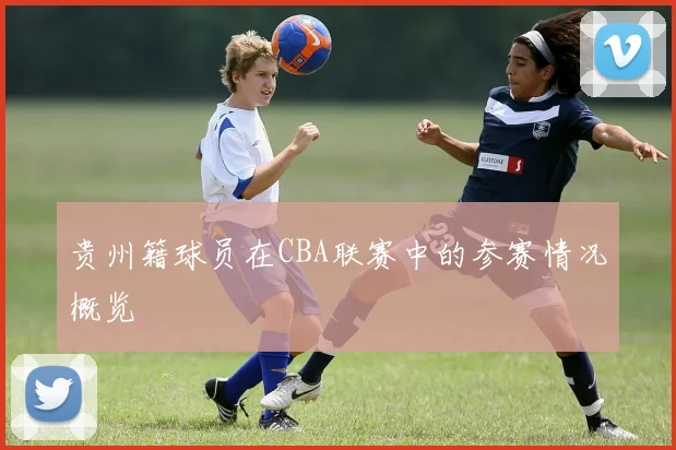 贵州籍球员在CBA联赛中的参赛情况概览