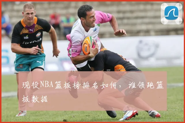 现役NBA篮板榜排名如何，谁领跑篮板数据